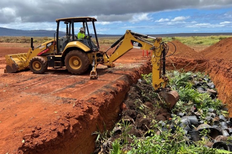 Invasive Coconut Rhinoceros Beetles Intercepted on Lāna‘i in Potted Plant Shipments from O‘ahu