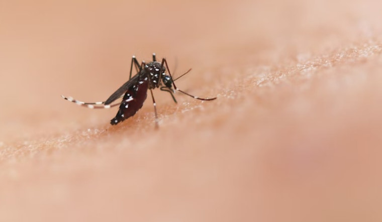 Investigation Underway into First Potential Locally Acquired Malaria Case in East Pierce County, Washington