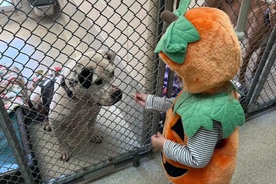 Iredell County’s Books and Buddies Program Helps Youngsters Improve Reading Skills While Calming Shelter Animals