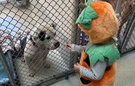 Iredell County’s Books and Buddies Program Helps Youngsters Improve Reading Skills While Calming Shelter Animals