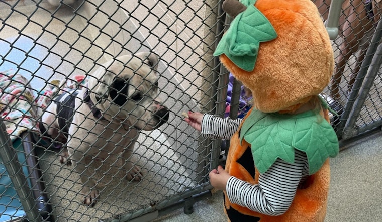 Iredell County’s Books and Buddies Program Helps Youngsters Improve Reading Skills While Calming Shelter Animals