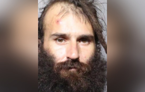 Jacksonville Car Thief Arrested as Sheriff's Office Seeks Public Help in Unsolved Crimes