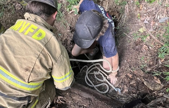 Jefferson County First Responders Heroically Rescue Calf from Sinkhole in New Market