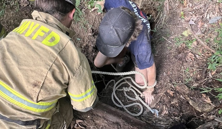 Jefferson County First Responders Heroically Rescue Calf from Sinkhole in New Market