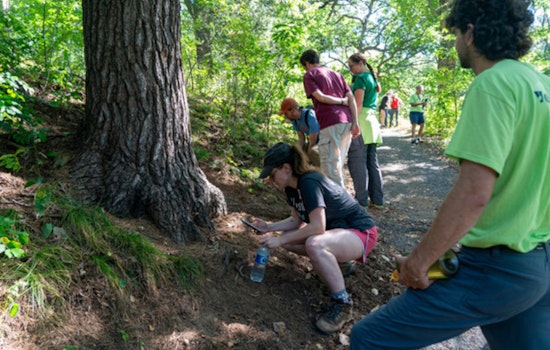 Join the Citizen Science Adventure: Minneapolis Park's BioBlitz Events Invite Public to Discover Local Insect Biodiversity