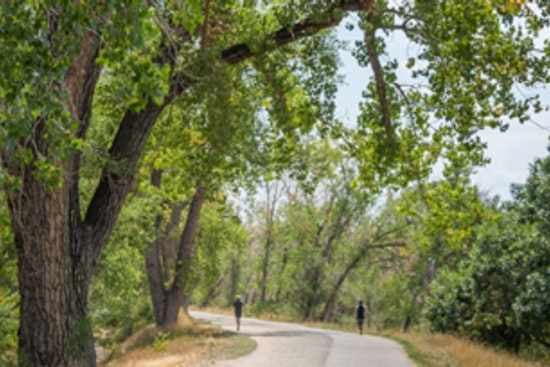 Join the Virtual Meeting on High Line Canal Trail Updates in Denver