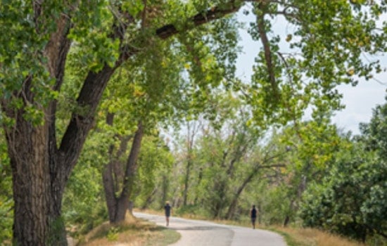 Join the Virtual Meeting on High Line Canal Trail Updates in Denver