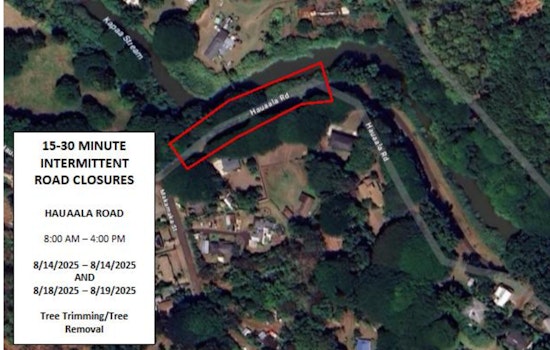 Kapa‘a Traffic Alert: Intermittent Road Closures for Tree Trimming on Hauaala Road in Mid-August
