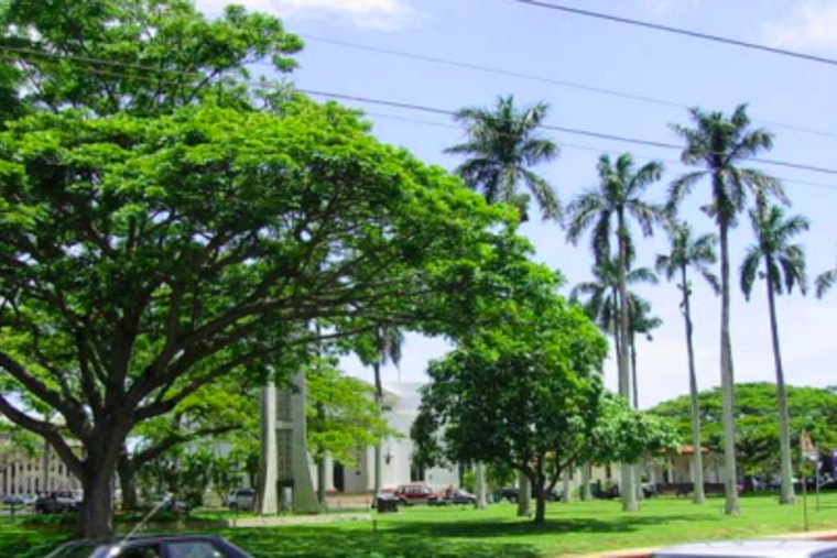 Kaua‘i Community Invited to "Recovery Through Connections and Community" Fair on September 12