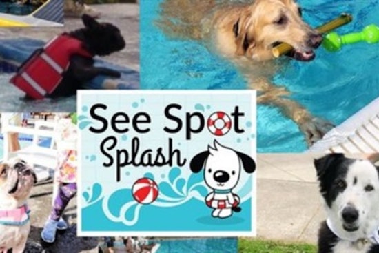 Kirkland Invites Pooches to Pool Party: Join the "See Spot Splash" Fun on September 6th