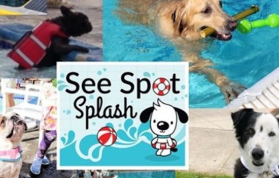 Kirkland Invites Pooches to Pool Party: Join the "See Spot Splash" Fun on September 6th