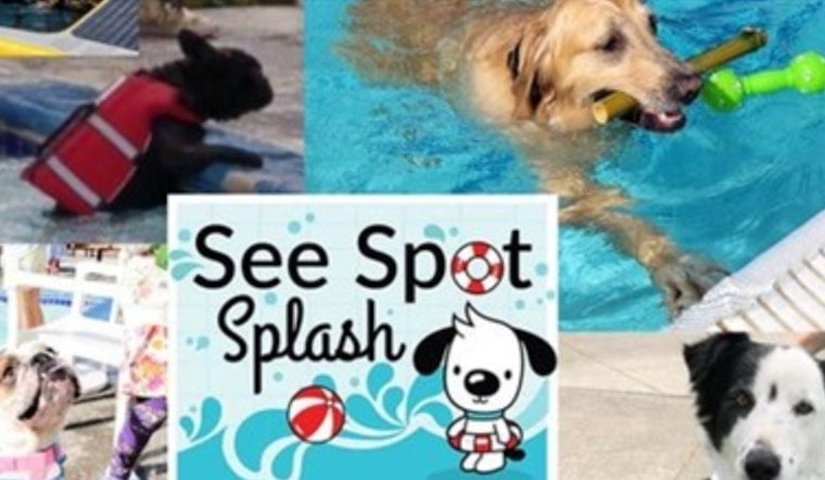 Kirkland Invites Pooches to Pool Party: Join the "See Spot Splash" Fun on September 6th