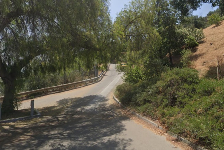 LAFD Rapidly Extinguishes Elysian Park Brush Fire, No Structures Damaged in Los Angeles