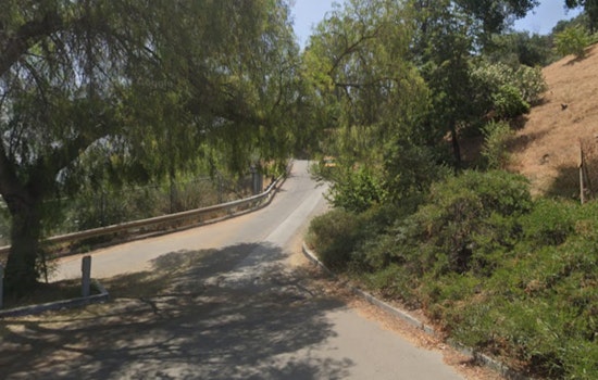 LAFD Rapidly Extinguishes Elysian Park Brush Fire, No Structures Damaged in Los Angeles