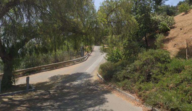 LAFD Rapidly Extinguishes Elysian Park Brush Fire, No Structures Damaged in Los Angeles