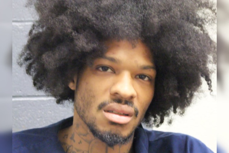 Lansing Resident Charged with 17 Felonies Including Disarming an Officer Following 2024 Traffic Stop Altercation
