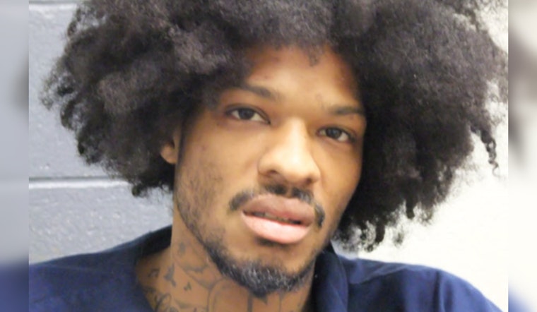 Lansing Resident Charged with 17 Felonies Including Disarming an Officer Following 2024 Traffic Stop Altercation