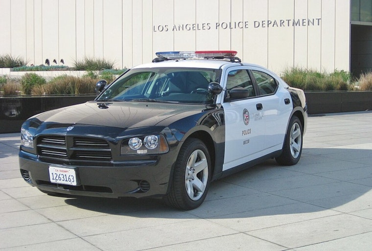 LAPD Seeks Leads in Fatal Hit-and-Run on Victory Boulevard, $50K Reward Offered