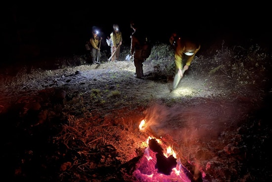 Larimer County Fire Crews Successfully Extinguish Lightning-Induced 'Tail Fire' After Coordinated Response Effort