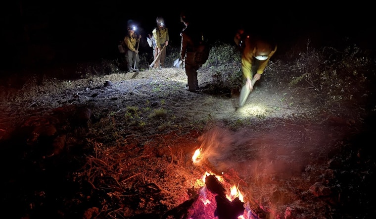 Larimer County Fire Crews Successfully Extinguish Lightning-Induced 'Tail Fire' After Coordinated Response Effort