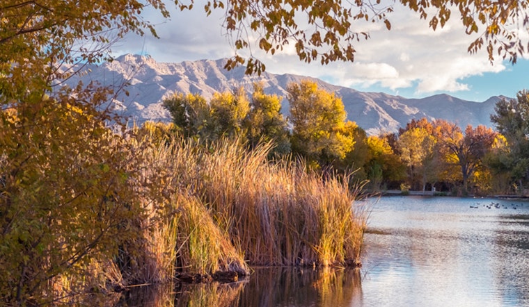 Las Vegas Invites Families to Become Citizen Scientists at the Parks for Pollinators BioBlitz Event