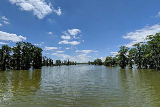 LDWF Announces Lake Martin Drawdown in St. Martin Parish to Enhance Fish Habitat and Manage Vegetation