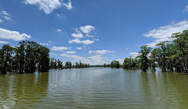 LDWF Announces Lake Martin Drawdown in St. Martin Parish to Enhance Fish Habitat and Manage Vegetation