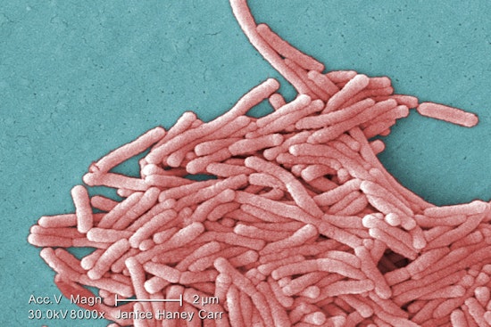 Legionnaires' Outbreak in Harlem Claims Three Lives Amid Drop in NYC Cooling Tower Inspections