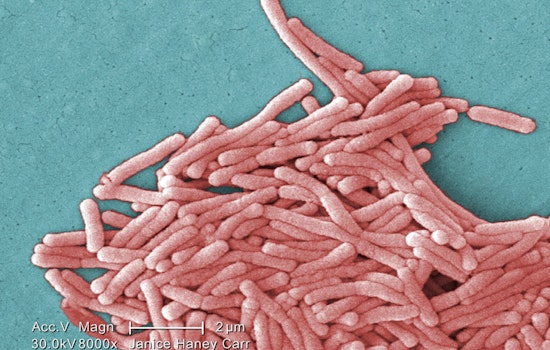 Legionnaires' Outbreak in Harlem Claims Three Lives Amid Drop in NYC Cooling Tower Inspections