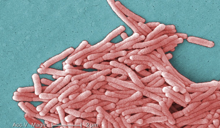 Legionnaires' Outbreak in Harlem Claims Three Lives Amid Drop in NYC Cooling Tower Inspections