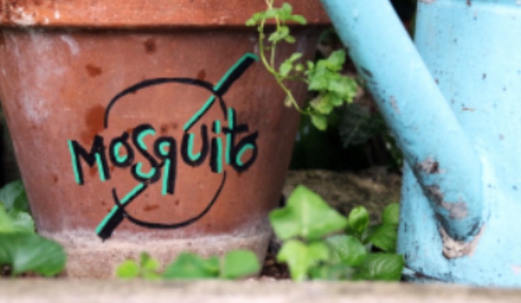 Lewisville Offers Free Mosquito Dunks to Residents for Eco-Friendly Pest Control
