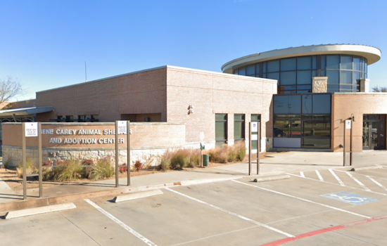 Lewisville Offers Home Repair Grants: Free Workshop Educates on Community Investment Opportunities