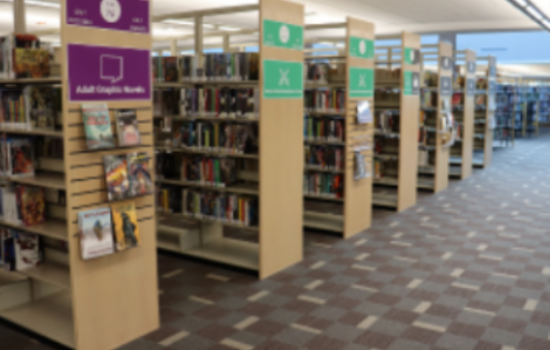 Lewisville Public Library Unveils Exciting Multicultural Events for All Ages