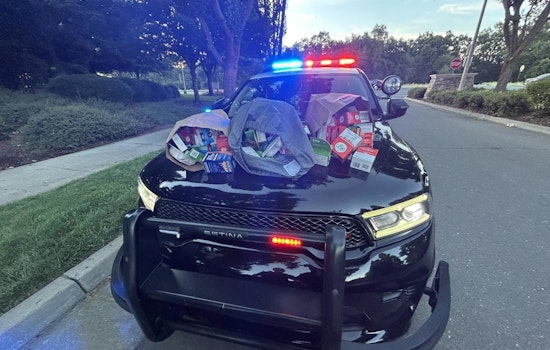 Lincoln Police Nab Two Fairfield Suspects in Traffic Stop Linked to Regional Theft Spree