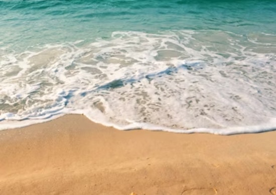 Los Angeles County Health Department Issues Warnings for High Bacterial Levels at Several Beaches