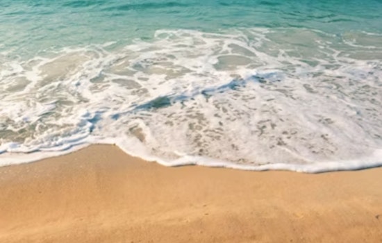 Los Angeles County Health Department Issues Warnings for High Bacterial Levels at Several Beaches
