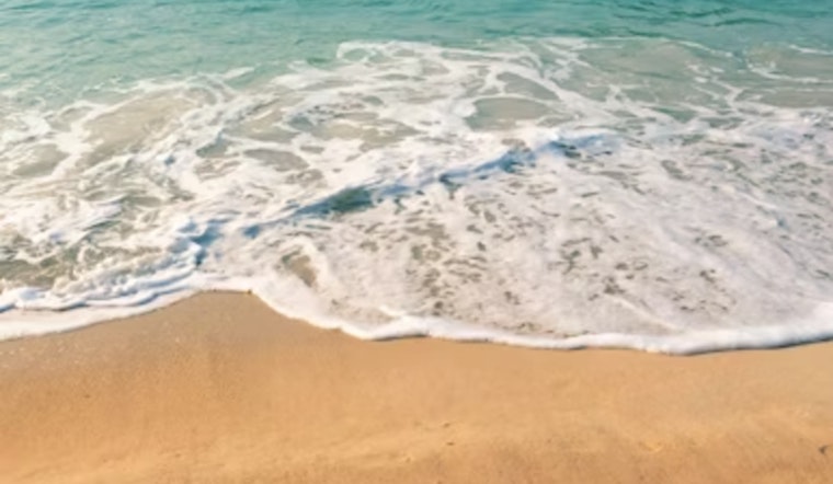 Los Angeles County Health Department Issues Warnings for High Bacterial Levels at Several Beaches