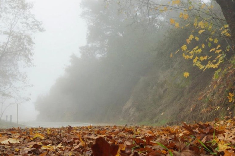Los Angeles Embraces Consistent Sunshine and Evening Fog Pattern for the Week Ahead