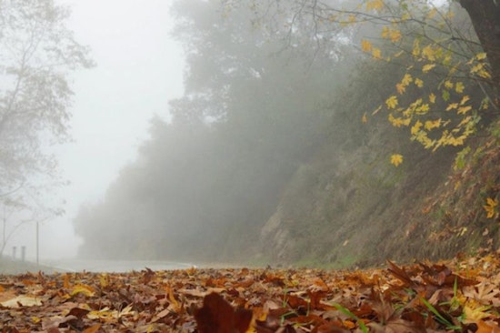Los Angeles Embraces Consistent Sunshine and Evening Fog Pattern for the Week Ahead