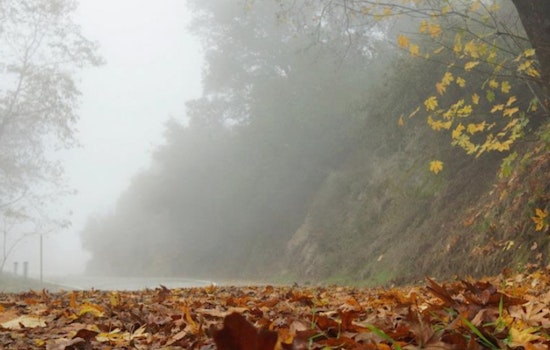 Los Angeles Embraces Consistent Sunshine and Evening Fog Pattern for the Week Ahead