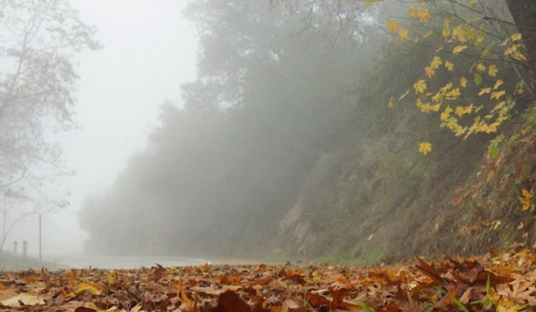 Los Angeles Embraces Consistent Sunshine and Evening Fog Pattern for the Week Ahead