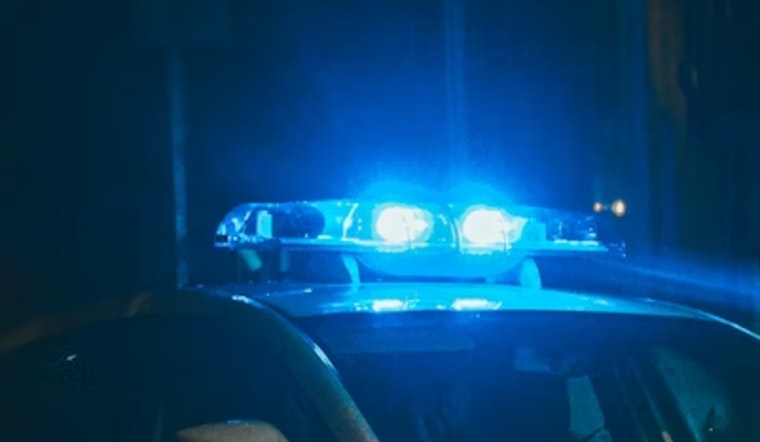 Los Angeles Law Enforcement Dismantles Burglary Crew Suspected in Nearly 100 Break-Ins