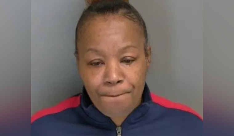 Macomb County Caregiver Accused of Murder After Pulling Plug on Elderly Man, Faces Trial Amid Embezzlement and Fraud Charges