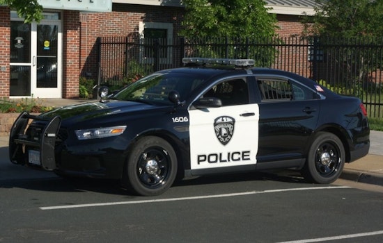 Male Victim in Critical Condition After Overnight Stabbing in Brooklyn Park, Police Seek Witnesses
