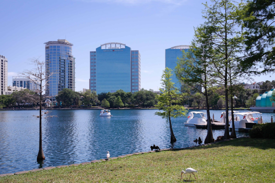 Man Charged with Animal Cruelty After Young Swan Killed at Orlando's Lake Eola Park