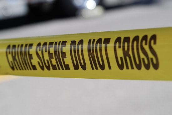 Man Fatally Struck by NYPD Patrol Car Near US Open Venue in Queens