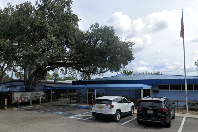 Manatee County Animal Welfare Seeks Public Assistance in Animal Cruelty Case on Lena Road