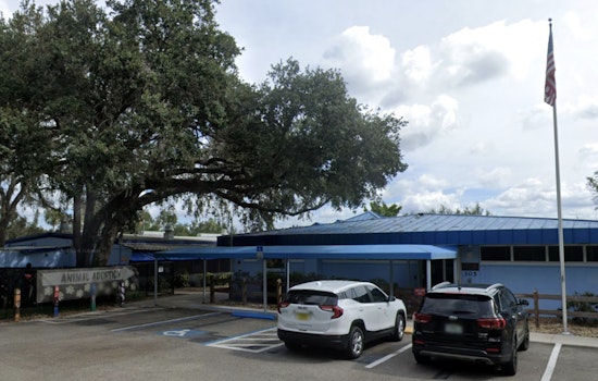 Manatee County Animal Welfare Seeks Public Assistance in Animal Cruelty Case on Lena Road