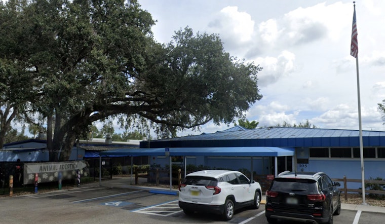 Manatee County Animal Welfare Seeks Public Assistance in Animal Cruelty Case on Lena Road