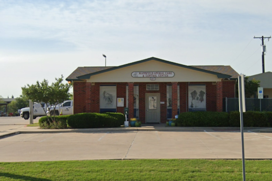 Mansfield, Texas Embraces Community Spirit with 'Clear the Shelters' Adoption Festivities